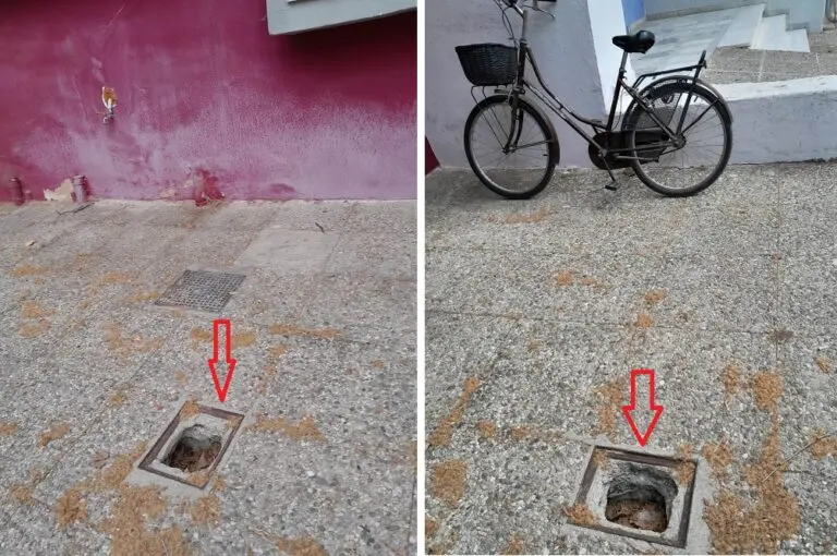 ΦΡΕΑΤΙΑ «ΠΑΓΙΔΕΣ» ΣΤΟΝ ΑΜΠΕΛΩΝΑ