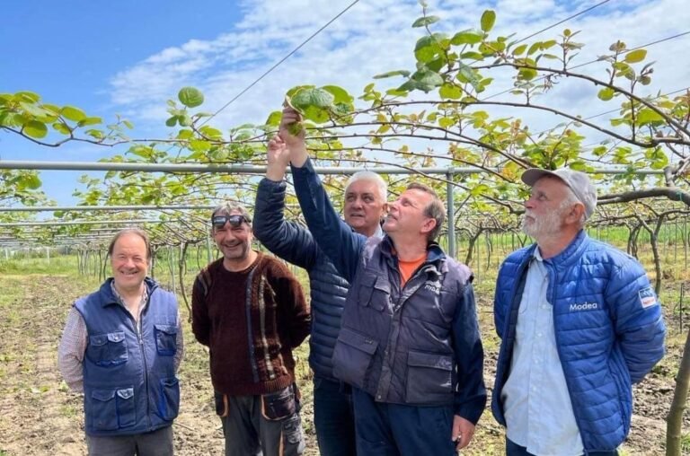 ΣΥΝΕΡΓΑΣΙΑ ΓΙΑ ΠΟΡΕΙΑ ΑΝΑΠΤΥΞΗΣ: ΕΙΜΑΣΤΕ ΔΙΠΛΑ ΣΤΟΥΣ ΠΑΡΑΓΩΓΟΥΣ ΑΚΤΙΝΙΔΙΟΥ