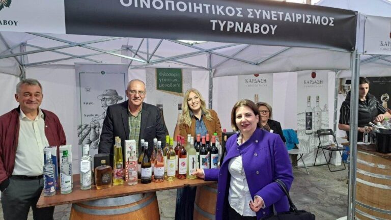 ΣΤΟ ΦΕΣΤΙΒΑΛ ΟΙΝΟΥ ΚΑΙ ΑΠΟΣΤΑΓΜΑΤΩΝ Η ΖΩΗ ΑΚΡΙΒΟΥΛΗ