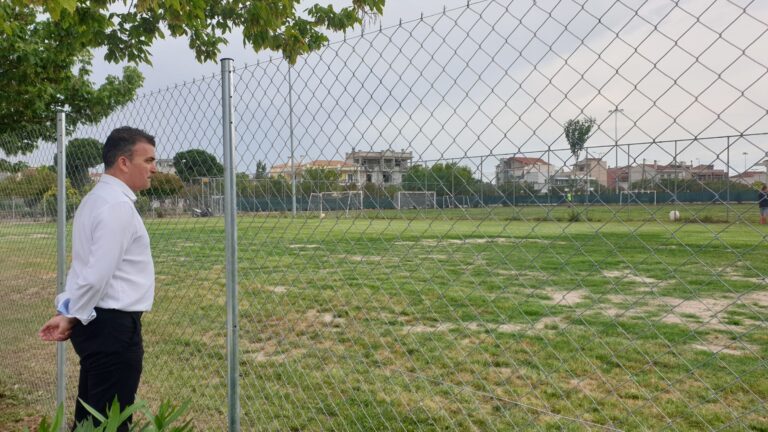 Θ. ΜΑΜΑΚΟΣ: ΑΠΑΡΑΔΕΚΤΗ Η ΚΑΤΑΣΤΑΣΗ ΣΤΑ ΔΗΜΟΤΙΚΑ ΓΗΠΕΔΑ ΤΗΣ ΛΑΡΙΣΑΣ – ΆΜΕΣΑ ΛΥΣΕΙΣ ΜΕ ΣΥΝΘΕΤΙΚΟ ΧΛΟΟΤΑΠΗΤΑ