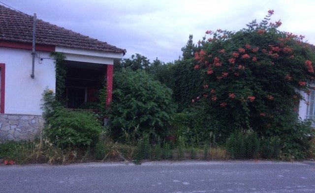 ΒΡΟΧΗ ΤΑ ΠΑΡΑΠΟΝΑ ΓΙΑ ΤΑ ΧΟΡΤΑ ΣΤΟΝ ΑΜΠΕΛΩΝΑ