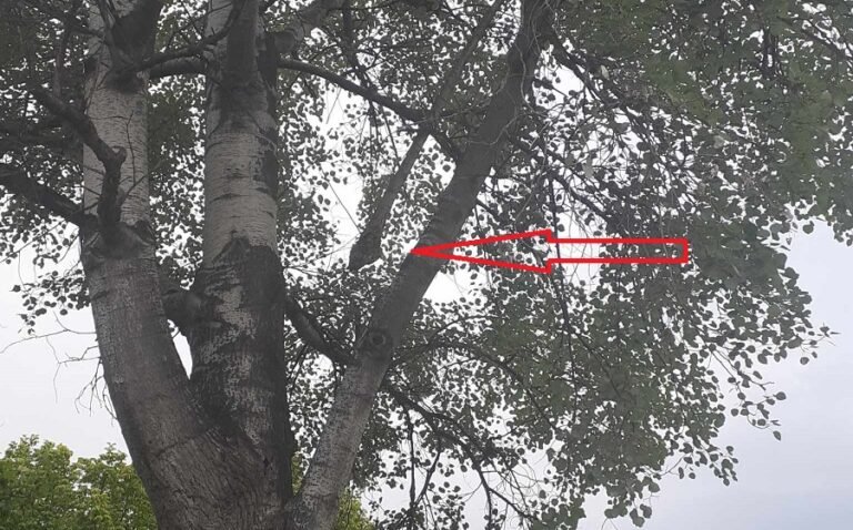 ΓΙΑΤΙ ΑΔΙΑΦΟΡΟΥΝ;