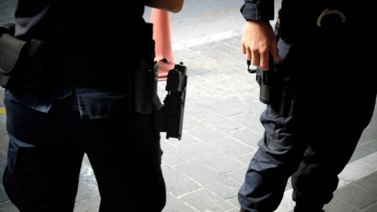 ΤΙ ΙΣΧΥΕΙ ΓΙΑ ΤΗ ΧΡΗΣΗ ΟΠΛΟΥ ΑΠΟ ΑΣΤΥΝΟΜΙΚΟΥΣ