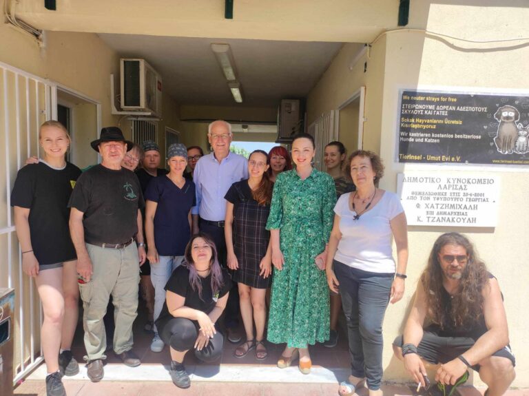 ΜΑΖΙΚΕΣ ΣΤΕΙΡΩΣΕΙΣ ΣΕ ΑΔΕΣΠΟΤΕΣ ΓΑΤΕΣ ΣΤΟ ΚΤΗΝΙΑΤΡΕΙΟ ΤΟΥ ΔΗΜΟΥ ΛΑΡΙΣΑΙΩΝ