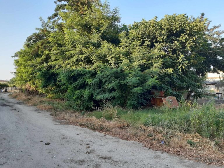 ΔΗΜΟΤΙΚΗ ΕΚΤΑΣΗ, «ΖΟΥΓΚΛΑ», ΔΙΠΛΑ ΣΕ ΣΠΙΤΙΑ ΣΤΟΝ ΑΜΠΕΛΩΝΑ