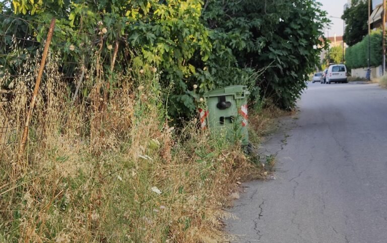 ΠΑΡΑΠΟΝΑ ΓΙΑ ΕΠΙΚΙΝΔΥΝΑ ΧΟΡΤΑ ΣΤΗ ΛΑΡΙΣΑ