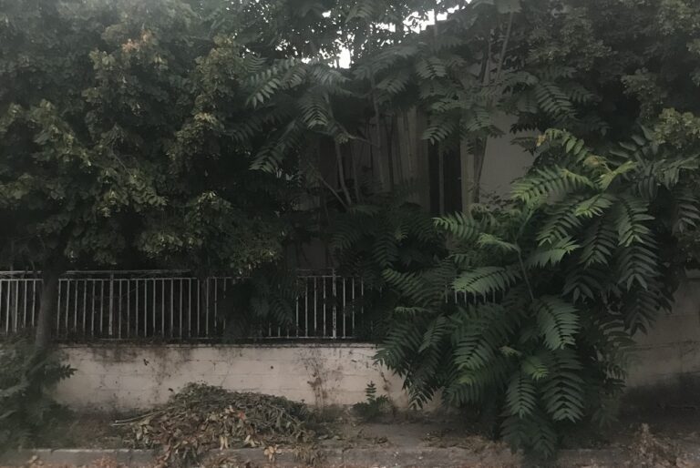 ΘΕΛΟΥΜΕ ΜΙΑ ΟΜΟΡΦΗ ΚΑΙ ΑΣΦΑΛΗ ΠΟΛΗ;