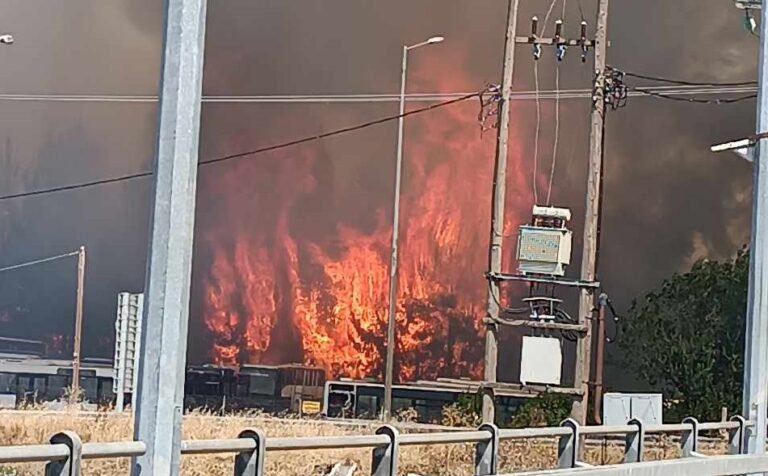 ΣΕ ΕΞΕΛΙΞΗ ΜΕΓΑΛΗ ΦΩΤΙΑ ΣΤΟΝ ΠΛΑΤΥΚΑΜΠΟ – ΚΑΗΚΑΝ ΟΧΗΜΑΤΑ (φωτο)