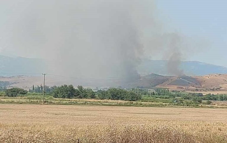 ΜΕΓΑΛΗ ΦΩΤΙΑ ΑΠΕΙΛΕΙ ΣΠΙΤΙΑ, ΠΟΙΜΝΙΟΣΤΑΣΙΑ ΚΑΙ ΦΩΤΟΒΟΛΤΑΪΚΑ ΠΑΡΚΑ ΣΤΟ ΜΑΥΡΟΛΙΘΟ