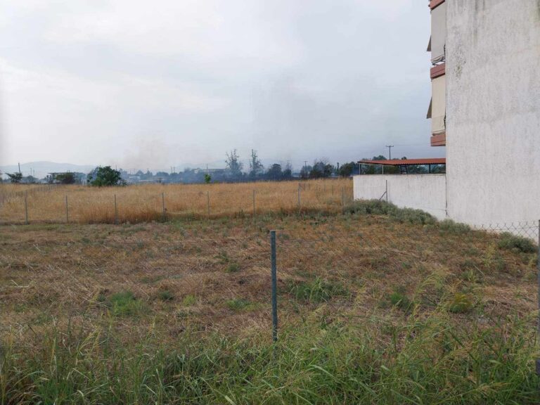 ΦΩΤΙΑ ΣΕ ΚΑΛΑΜΙΕΣ ΣΤΟ ΔΡΟΜΟ ΓΙΑΝΝΟΥΛΗ ΑΜΠΕΛΩΝΑΣ
