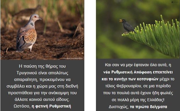 ΝΕΑ ΡΥΘΜΙΣΤΙΚΗ ΑΠΟΦΑΣΗ ΓΙΑ ΤΟ ΚΥΝΗΓΙ: ΜΙΑ ΠΡΩΤΟΦΑΝΗΣ ΟΠΙΣΘΟΔΡΟΜΗΣΗ!