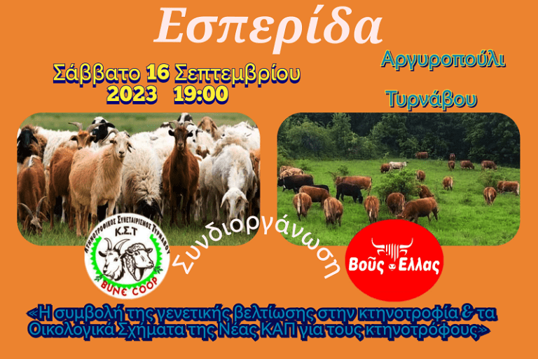 ΚΤΗΝΟΤΡΟΦΙΚΗ ΕΣΠΕΡΙΔΑ ΓΙΑ ΤΗ ΓΕΝΕΤΙΚΗ ΒΕΛΤΙΩΣΗ ΚΑΙ ΤΑ ΟΙΚΟΛΟΓΙΚΑ ΣΧΗΜΑΤΑ ΑΠΟ ΤΟΥΣ ΣΥΝΕΤΑΙΡΙΣΜΟΥΣ «ΒUNE COOP» ΚΑΙ «ΒΟῦΣ ΕΛΛΑΣ»