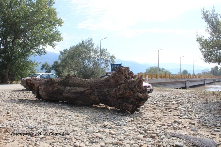 ΣΤΗΝ ΚΥΚΛΟΦΟΡΙΑ Η ΓΕΦΥΡΑ ΣΤΟΝ ΠΑΡΑΠΟΤΑΜΟ