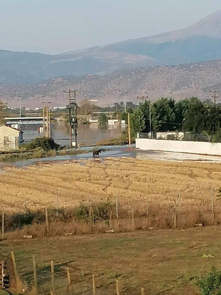 ΤΟ ΝΕΡΟ ΜΠΗΚΕ ΜΕΣΑ ΣΤΗ ΦΑΛΑΝΗ ΚΑΙ ΠΛΗΜΜΥΡΙΖΕΙ ΣΠΙΤΙΑ