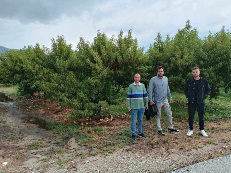 ΤΕΡΑΣΤΙΕΣ ΖΗΜΙΕΣ ΣΕ ΚΑΛΛΙΕΡΓΕΙΕΣ ΣΤΟ ΔΗΜΟ ΤΥΡΝΑΒΟΥ