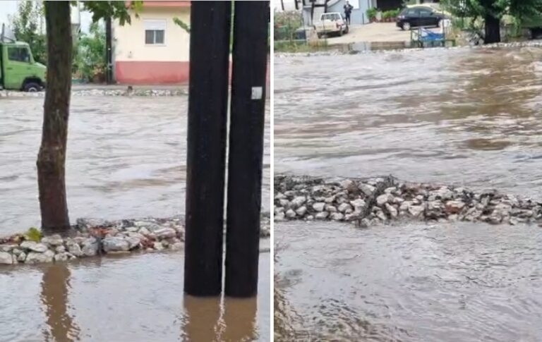 ΠΛΗΜΜΥΡΙΣΑΝ ΣΠΙΤΙΑ ΣΤΟ ΔΑΜΑΣΙ