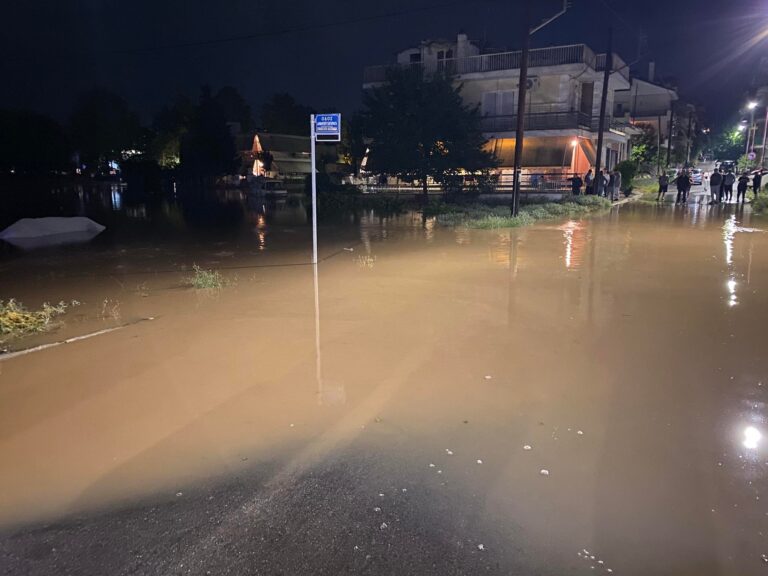 ΑΙΣΙΟ ΤΕΛΟΣ ΣΤΟ ΘΡΙΛΕΡ ΜΕ ΠΥΡΟΣΒΕΣΤΕΣ ΚΑΙ ΑΠΕΓΚΛΩΒΙΣΜΕΝΟΥΣ ΣΤΗ ΓΙΑΝΝΟΥΛΗ
