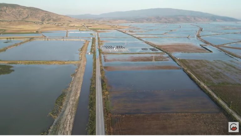Η ΚΑΤΑΣΤΡΟΦΗ ΤΟΥ ΘΕΣΣΑΛΙΚΟΥ ΚΑΜΠΟΥ (ΒΙΝΤΕΟ)