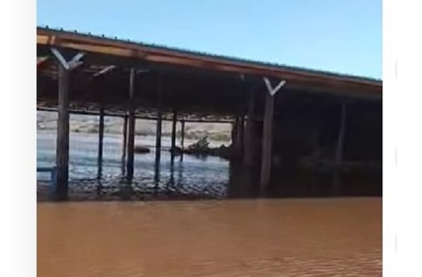 ΑΠΟΛΥΤΗ ΚΑΤΑΣΤΡΟΦΗ ΣΤΑ «ΠΝΙΓΜΕΝΑ» ΠΟΙΜΝΙΟΣΤΑΣΙΑ ΤΟΥ ΑΜΠΕΛΩΝΑ – ΕΙΚΟΝΕΣ ΠΟΥ ΣΟΚΑΡΟΥΝ