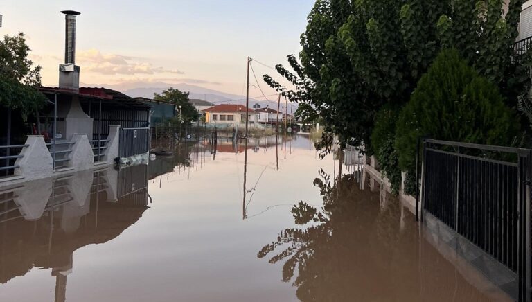 ΜΕ ΡΥΘΜΟΥΣ ΧΕΛΩΝΑΣ ΟΙ ΕΡΓΑΣΙΕΣ ΣΤΟ ΚΤΙΡΙΟ ΤΟΥ ΓΥΜΝΑΣΙΟΥ – ΛΥΚΕΙΟΥ ΦΑΛΑΝΗΣ