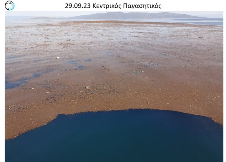ΑΡΧΙΚΑ ΑΠΟΤΕΛΕΣΜΑΤΑ ΕΡΕΥΝΩΝ ΤΟΥ ΠΑΝΕΠΙΣΤΗΜΙΟΥ ΘΕΣΣΑΛΙΑΣ ΣΤΗΝ ΑΝΟΙΧΤΗ ΘΑΛΑΣΣΑ ΚΑΙ ΣΤΟ ΠΑΡΑΚΤΙΟ ΟΙΚΟΣΥΣΤΗΜΑ ΤΟΥ ΠΑΓΑΣΗΤΙΚΟΥ