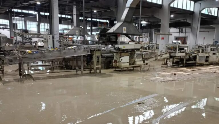ΑΠΕΙΛΗ ΑΝΕΡΓΙΑΣ ΓΙΑ 650 ΕΡΓΑΖΟΜΕΝΟΥΣ ΣΕ ΠΛΗΜΜΥΡΙΣΜΕΝΟ ΕΡΓΟΣΤΑΣΙΟ ΤΗΣ ΛΑΡΙΣΑΣ
