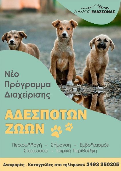 ΣΥΝΕΧΙΖΕΤΑΙ ΤΟ ΠΡΟΓΡΑΜΜΑ ΔΙΑΧΕΙΡΙΣΗΣ ΑΔΕΣΠΟΤΩΝ ΖΩΩΝ ΑΠΟ ΤΟ ΔΗΜΟ ΕΛΑΣΣΟΝΑΣ