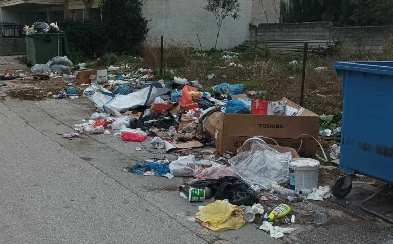 ΑΓΑΝΑΚΤΗΣΗ ΓΙΑ ΤΑ ΣΚΟΥΠΙΔΙΑ ΔΙΠΛΑ ΣΤΟΝ ΠΑΙΔΙΚΟ ΣΤΑΘΜΟ «ΕΛΕΥΘΕΡΙΑ»
