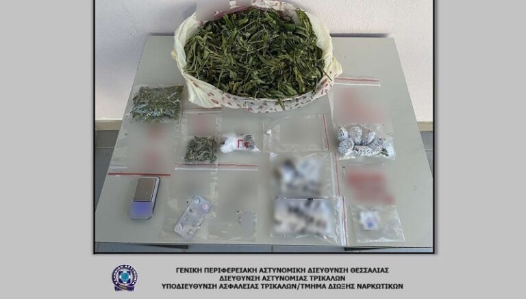 67 ΣΥΛΛΗΨΕΙΣ ΣΕ ΔΙΗΜΕΡΕΣ ΣΥΝΤΟΝΙΣΜΕΝΕΣ ΑΣΤΥΝΟΜΙΚΕΣ ΕΠΙΧΕΙΡΗΣΕΙΣ ΣΤΗ ΘΕΣΣΑΛΙΑ