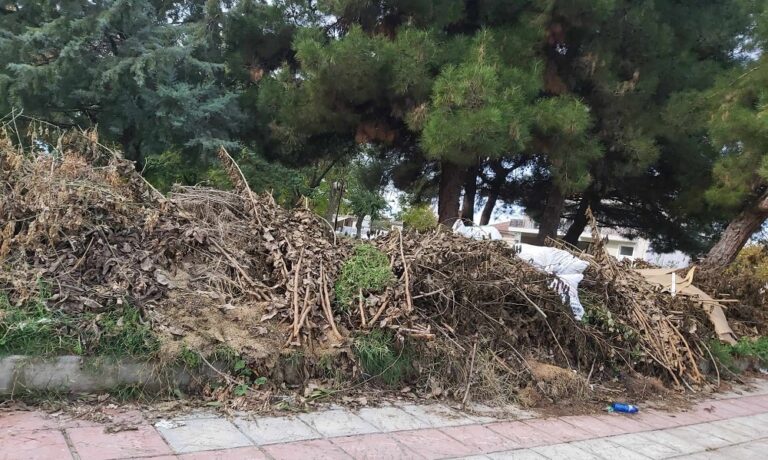 ΧΩΜΑΤΕΡΗ ΤΟ ΠΑΡΚΟ ΕΛΕΥΘΕΡΙΑΣ ΣΤΟΝ ΑΜΠΕΛΩΝΑ
