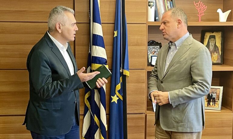 ΚΑΛΥΨΗ ΤΗΣ ΑΠΩΛΕΙΑΣ ΕΙΣΟΔΗΜΑΤΟΣ ΣΕ ΠΛΗΜΜΥΡΟΠΑΘΕΙΣ ΑΓΡΟΤΕΣ