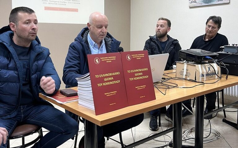 ΤΟ ΕΛΛΗΝΟΒΛΑΧΙΚΟ ΙΔΙΩΜΑ ΤΟΥ ΚΟΚΚΙΝΟΠΛΟΥ