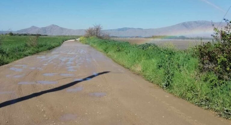 ΚΑΡΟΥΛΙΑ ΠΟΤΙΖΟΥΝ ΚΑΙ ΚΑΤΑΣΤΡΕΦΟΥΝ ΔΡΟΜΟΥΣ ΣΤΟΝ ΑΜΠΕΛΩΝΑ – ΠΟΛΛΑ ΤΑ ΠΑΡΑΠΟΝΑ ΑΓΡΟΤΩΝ