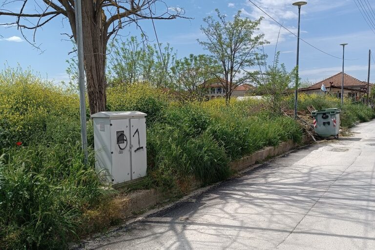 ΠΑΡΑΠΟΝΑ ΓΙΑ ΤΗΝ ΕΙΚΟΝΑ ΤΩΝ ΠΑΡΚΩΝ ΣΤΗ ΦΑΛΑΝΗ