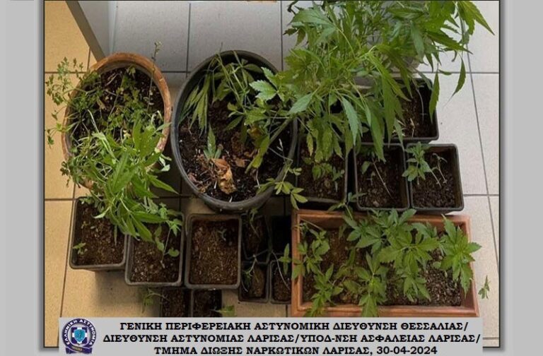 ΔΥΟ ΣΥΛΛΗΨΕΙΣ ΣΕ ΧΩΡΙΟ ΤΟΥ ΔΗΜΟΥ ΤΕΜΠΩΝ ΓΙΑ ΧΑΣΙΣ, ΧΑΠΙΑ ΚΑΙ ΦΥΤΑ ΚΑΝΝΑΒΗΣ