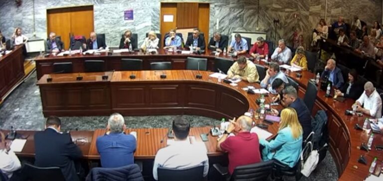 Η ΠΡΟΤΑΣΗ ΨΗΦΙΣΜΑΤΟΣ ΤΗΣ ΔΗΜΟΤΙΚΗΣ ΑΡΧΗΣ ΤΟΥ ΔΗΜΟΥ ΛΑΡΙΣΑΙΩΝ ΓΙΑ ΤΟΥΣ ΠΛΗΜΜΥΡΟΠΑΘΕΙΣ