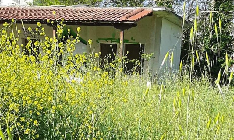 ΠΑΡΑΠΟΝΑ ΓΙΑ ΑΚΟΠΑ ΧΟΡΤΑ ΣΤΟΝ ΤΥΡΝΑΒΟ