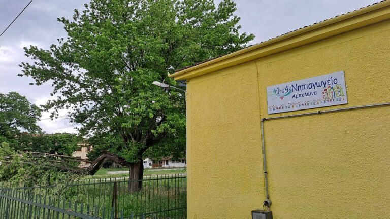 ΕΠΕΣΕ ΤΜΗΜΑ ΔΕΝΔΡΟΥ ΣΤΑ 1ο και 4ο ΝΗΠΙΑΓΩΓΕΙΑ ΑΜΠΕΛΩΝΑ