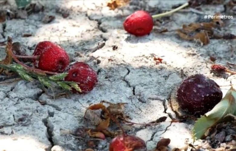 Χαλαζόπτωση προκάλεσε καταστροφές σε κεράσια και βερίκοκα στα Γρεβενά