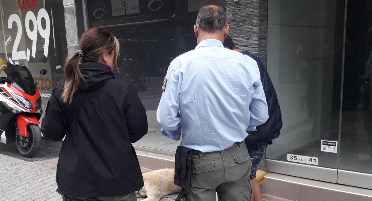 ΔΗΜΟΣ ΛΑΡΙΣΑΙΩΝ: ΠΡΟΝΟΙΑ ΓΙΑ ΑΣΤΕΓΟΥΣ