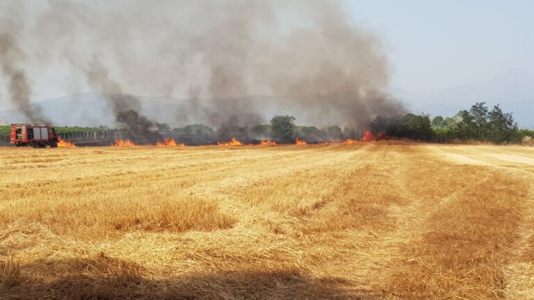 Φωτιά σε καλαμιά στον δρόμο Αμπελώνα – Γιάννουλης