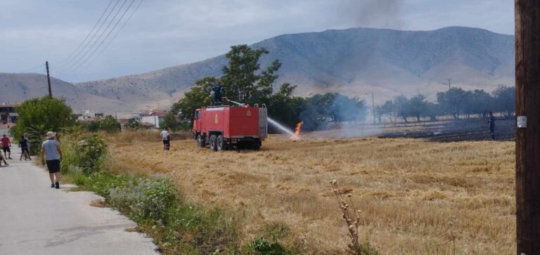 Φωτιά σε καλαμιά κοντά σε σπίτια και επιχειρήσεις στον Τύρναβο (φωτο)