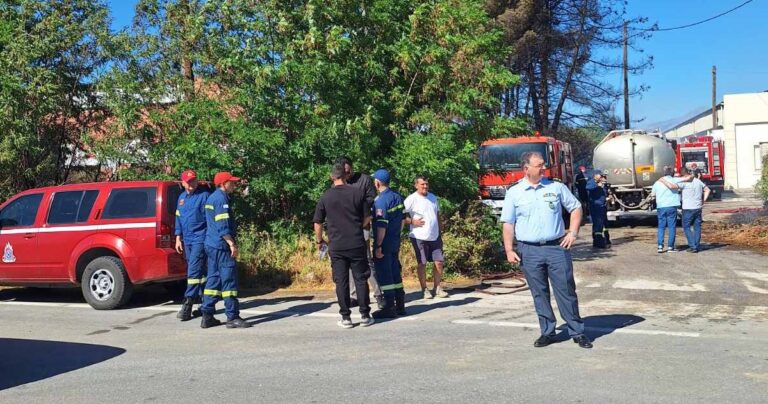 Υπό πλήρη έλεγχο η φωτιά στο δρόμο Γιάννουλης – Αμπελώνα (φωτο)