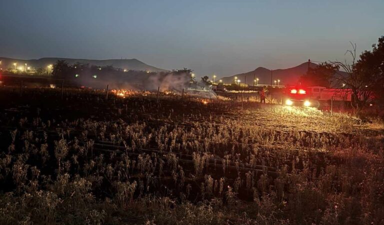 Υπό έλεγχο η φωτιά στο δρόμο Τυρνάβου – Αμπελώνα