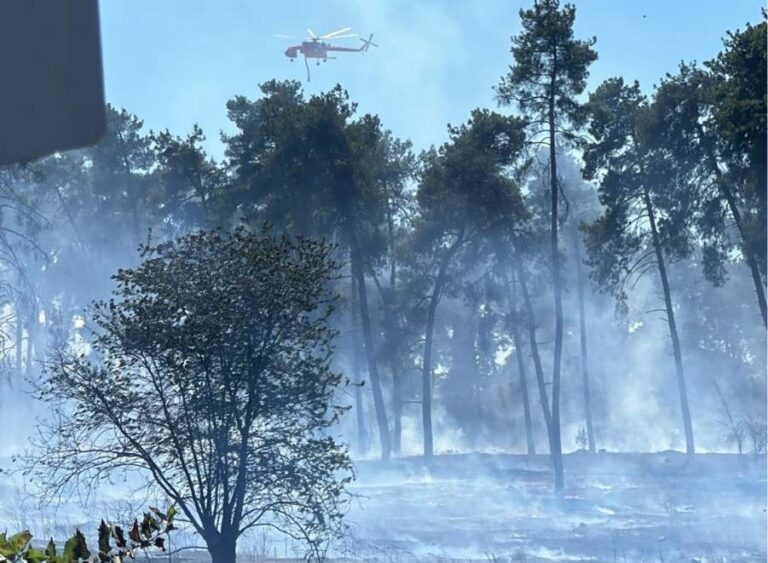 Πυρκαγιά στο δάσος πάνω από την Καρυά Ολύμπου στην πλευρά της Πιερίας