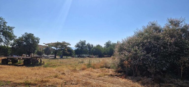 Δήμος Τεμπών: Θα επιβληθούν πρόστιμα για τα ακαθάριστα οικόπεδα