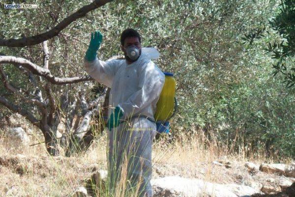 Διενέργεια γενικού δολωματικού ψεκασμού στο Δήμο Τεμπών