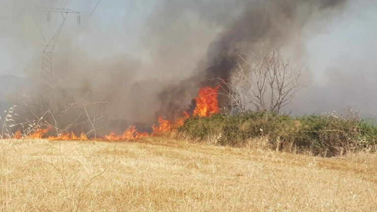 Μεγάλη φωτιά στο Χειμάδι Λάρισας – Επιχειρούν και εναέρια μέσα