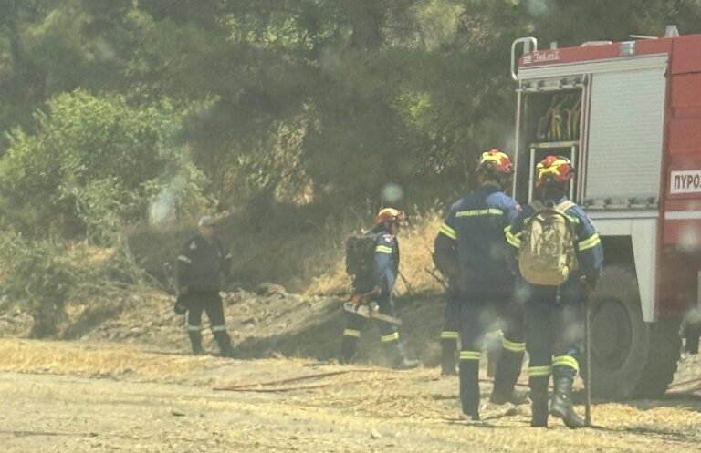 Υπό έλεγχο η φωτιά στη Βρύση Τυρνάβου