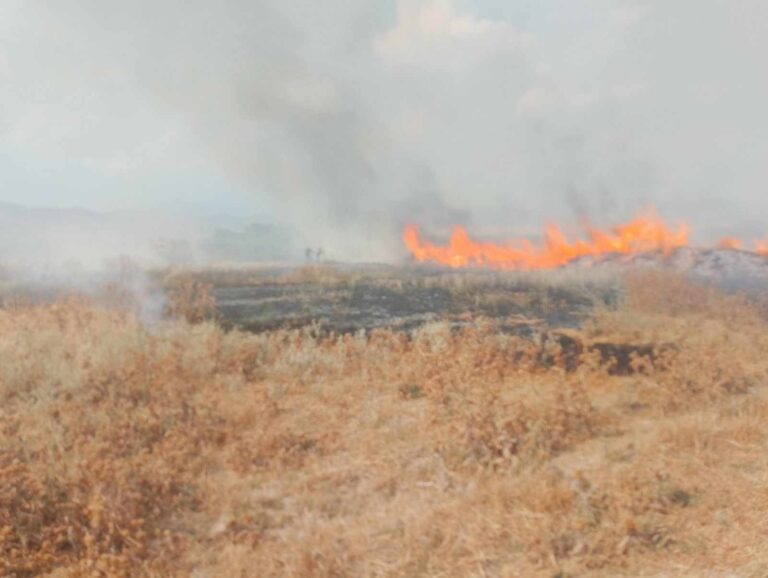 Συναγερμός για φωτιές σε Τύρναβο και Χαλκιάδες
